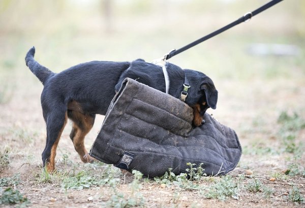 How can sports technology improve the detection and prevention of concussions?