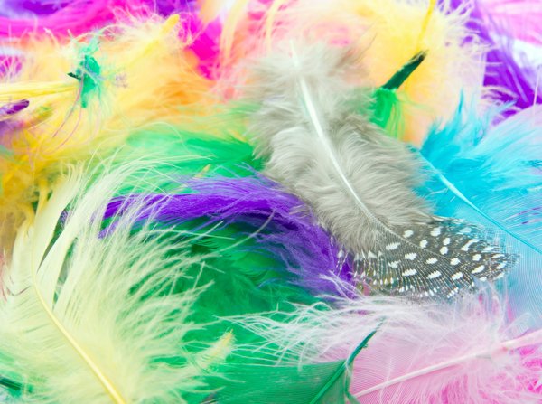 10 creative ways to incorporate natural feathers into your life